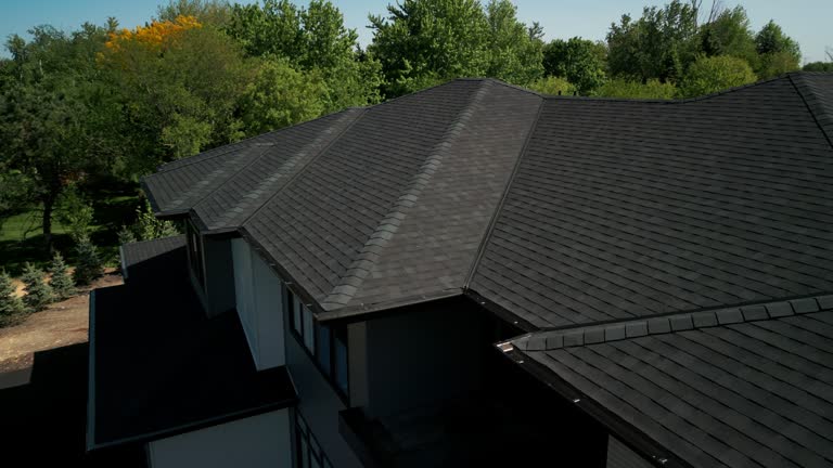 Professional Roofing Service in Excelsior, MN